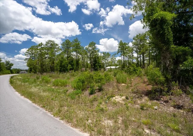 Homes for sale in Williston, FL | Ne 4Th Ln, Williston, FL 32696 | MLS# OM728146