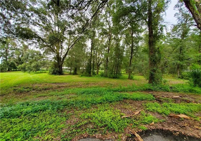 Photo 3 of Land for sale at Frazee Ct, Dade City, FL 33523 | MLS# TB8527389 | Listing updated on 2026-10-04