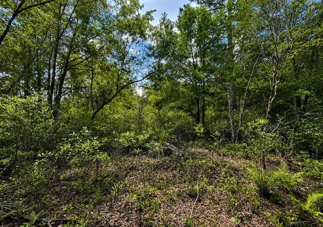 Photo 2 of Land for sale at Tbd SE 136th Street, Starke, FL 32091 | MLS# GC541817 | Listing updated on 2026-08-14