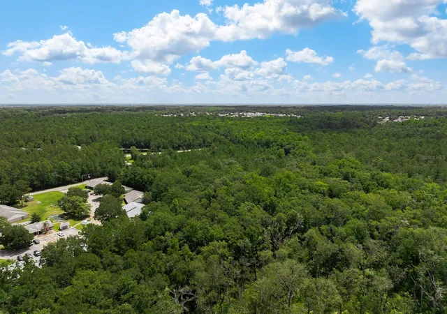 Photo 3 of Land for sale at 3779 County Rd 218, Middleburg, FL 32068 | MLS# O6423674 | Listing updated on 2026-08-07
