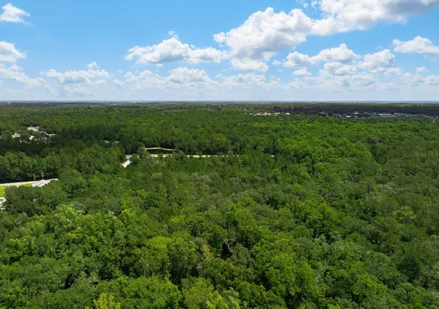 Photo 4 of Land for sale at 3779 County Rd 218, Middleburg, FL 32068 | MLS# O6423674 | Listing updated on 2026-08-07