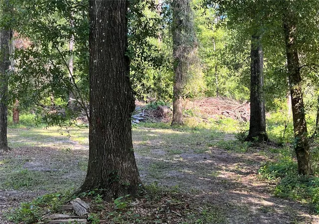 Homes for sale in Live Oak, FL | 10452 County Road 136, Live Oak, FL 32060 | MLS# O6423698