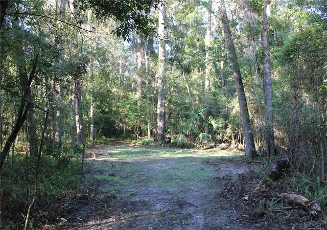 Photo 2 of Land for sale at 2958 Nw 21st Avenue, Gainesville, FL 32605 | MLS# GC541827 | Listing updated on 2026-10-07