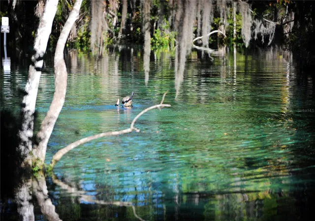 2nd image of 11025 W Harbor Watch Loop, CRYSTAL RIVER, FL 34428