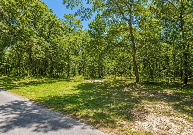 2nd image of Seagrape St, Homosassa, FL 34446 | MLS# TB8527642