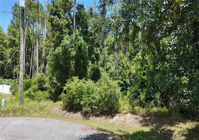 Photo 2 of Land for sale at 8 Zaftig Ct, Palm Coast, FL 32164 | MLS# FC319854 | Listing updated on 2026-07-27