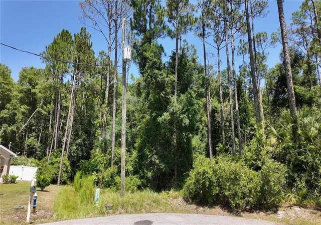 Photo 3 of Land for sale at 8 Zaftig Ct, Palm Coast, FL 32164 | MLS# FC319854 | Listing updated on 2026-07-27