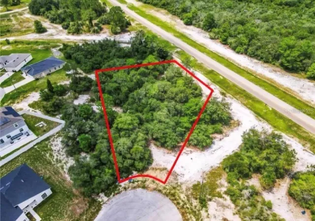 Photo 2 of Land for sale at 612 Amazon Pl, Kissimmee, FL 34759 | MLS# O6423868 | Listing updated on 2026-08-11