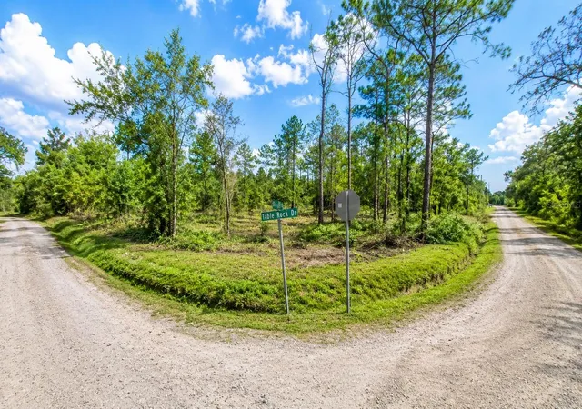Photo 1 of Land for sale at Millrock St, Webster, FL 33597 | MLS# TB8527758 | Listing updated on 2026-08-14