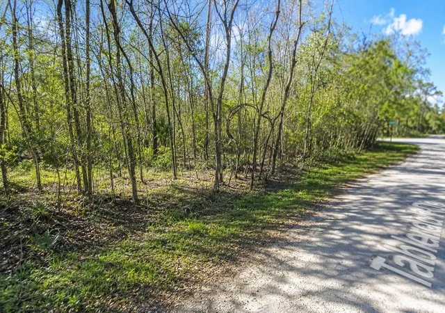 Photo 3 of Land for sale at Millrock St, Webster, FL 33597 | MLS# TB8527758 | Listing updated on 2026-08-14