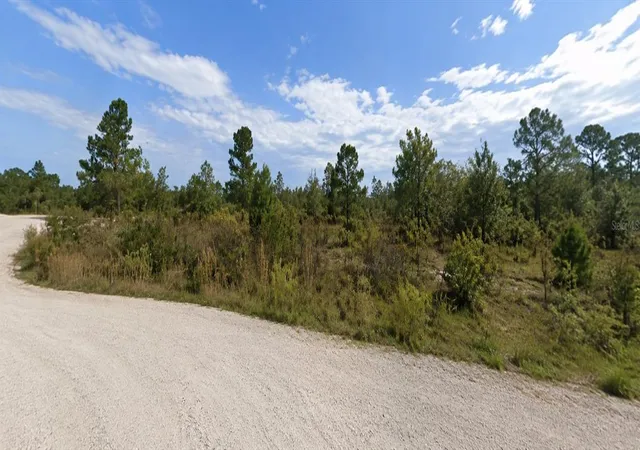 Photo 1 of Land for sale at Coral Rock Dr, Webster, FL 33597 | MLS# TB8527767 | Listing updated on 2026-07-24