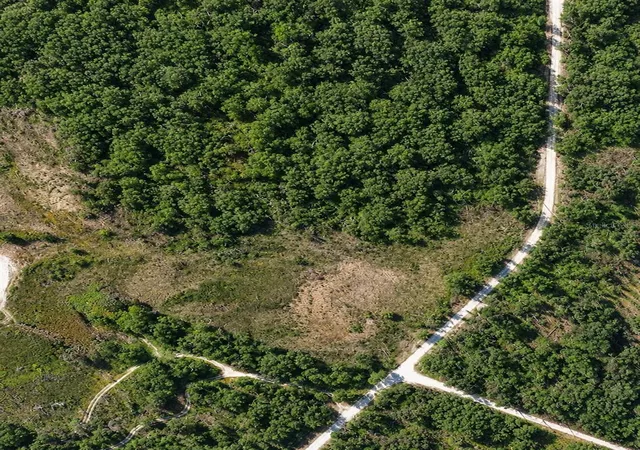 Photo 2 of Land for sale at Coral Rock Dr, Webster, FL 33597 | MLS# TB8527767 | Listing updated on 2026-07-24