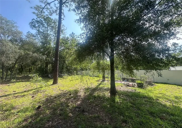 Homes for sale in Williston, FL | Tbd Ne 3rd Pl, Williston, FL 32696 | MLS# OM728202
