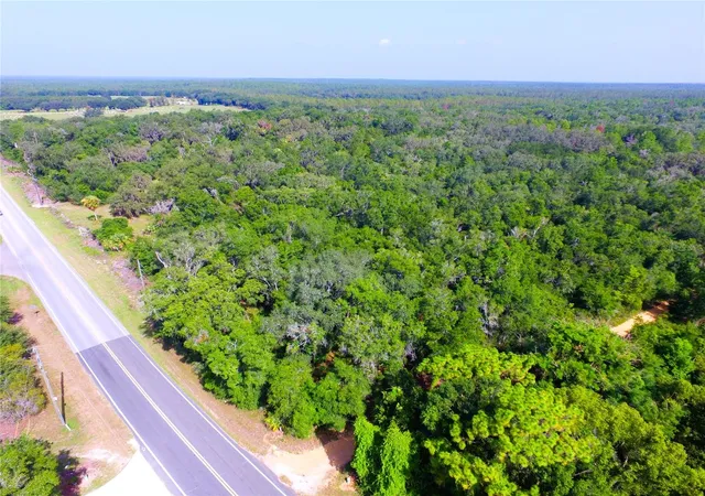 Photo 2 of Land for sale at 24601 Se Highway 42, Umatilla, FL 32784 | MLS# O6423926 | Listing updated on 2026-07-15