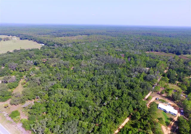 Photo 4 of Land for sale at 24601 SE Highway 42, Umatilla, FL 32784 | MLS# O6423926 | Listing updated on 2026-07-15