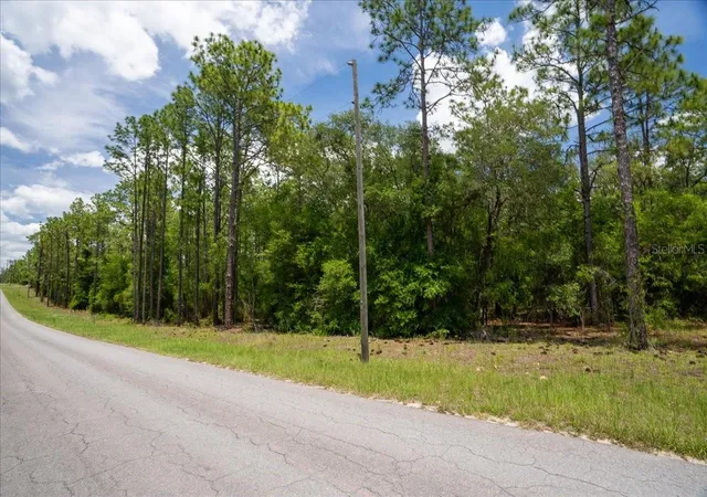 Homes for sale in Williston, FL | 150th Ave, Williston, FL 32696 | MLS# OM728213