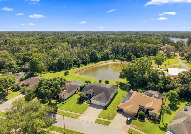 42nd image of 17322 Hubers Ct, Odessa, FL 33556 | MLS# TB8527923
