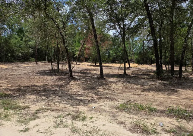 Photo 16 of Manufactured home for sale at Tbd Ne 122nd Avenue, Williston, FL 32696 | MLS# OM728220 | Listing updated on 2026-07-27