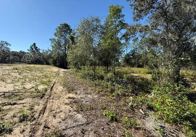 Photo 3 of Land for sale at 6123 Oil Well Rd, Clermont, FL 34714 | MLS# G5114902 | Listing updated on 2026-08-31