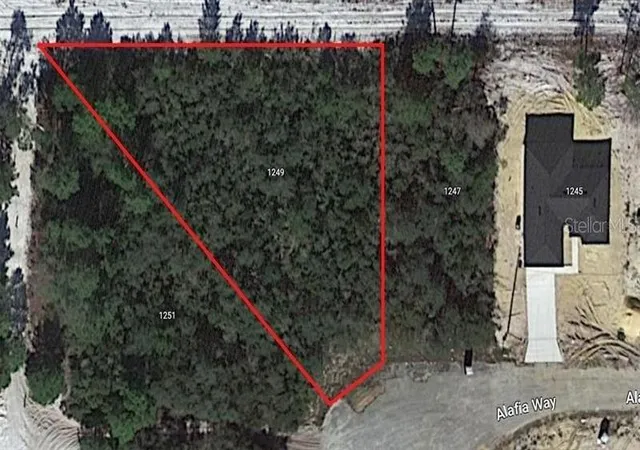 Photo 3 of Land for sale at 1249 Alafia Way, Kissimmee, FL 34759 | MLS# O6424241 | Listing updated on 2026-08-20