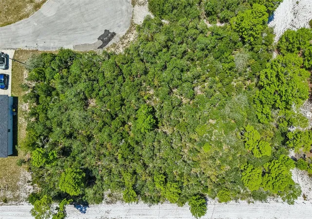 Photo 9 of Land for sale at 1249 Alafia Way, Kissimmee, FL 34759 | MLS# O6424241 | Listing updated on 2026-08-20