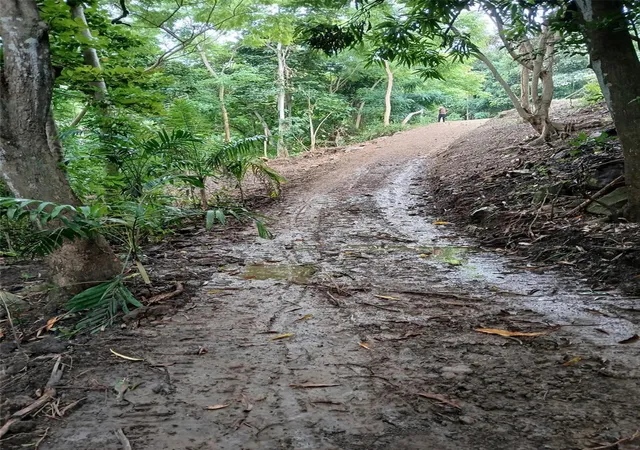 Homes for sale in Rincon, PR | Barrero St, Rincon, PR 00677 | MLS# PR9122678