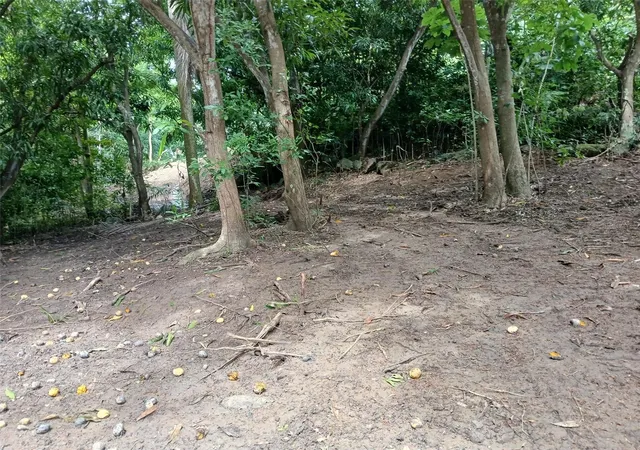 Homes for sale in Rincon, PR | Barrero St, Rincon, PR 00677 | MLS# PR9122678