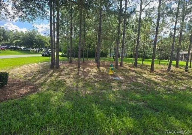 Photo 3 of Land for sale at 2590 N Brentwood Cir, Lecanto, FL 34461 | MLS# OM728301 | Listing updated on 2026-07-15