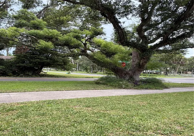 12th image of 902 E Tomlin St, Plant City, FL 33563 | MLS# TB8528280