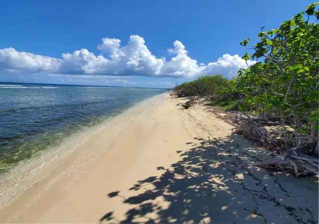 Homes for sale in Culebra, PR | 8c Barrio Frailes, Culebra, PR 00775 | MLS# PR9122693
