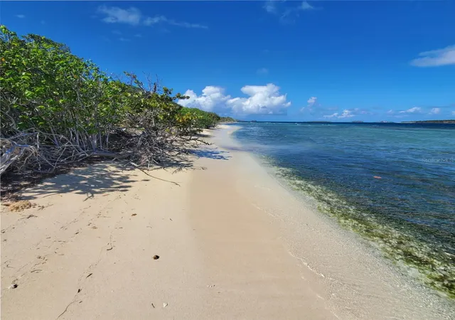 Homes for sale in Culebra, PR | 8c Barrio Frailes, Culebra, PR 00775 | MLS# PR9122693