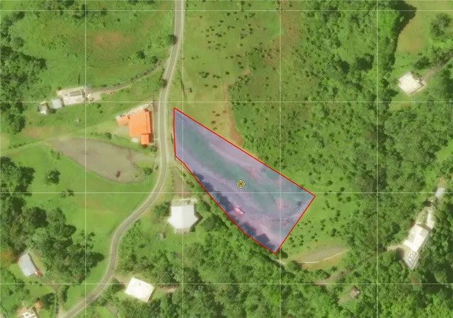 Homes for sale in San Lorenzo, PR | Bo Quemado, San Lorenzo, PR 00754 | MLS# PR9122696