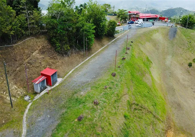 Homes for sale in San Lorenzo, PR | Bo Quemado, San Lorenzo, PR 00754 | MLS# PR9122696
