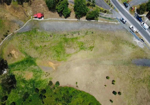 Homes for sale in San Lorenzo, PR | Bo Quemado, San Lorenzo, PR 00754 | MLS# PR9122696