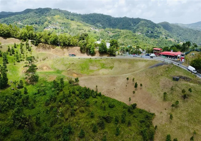 Homes for sale in San Lorenzo, PR | Bo Quemado, San Lorenzo, PR 00754 | MLS# PR9122696