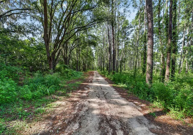 5th image of 15020 W Hwy 328, Ocala, FL 34482 | MLS# OM728319