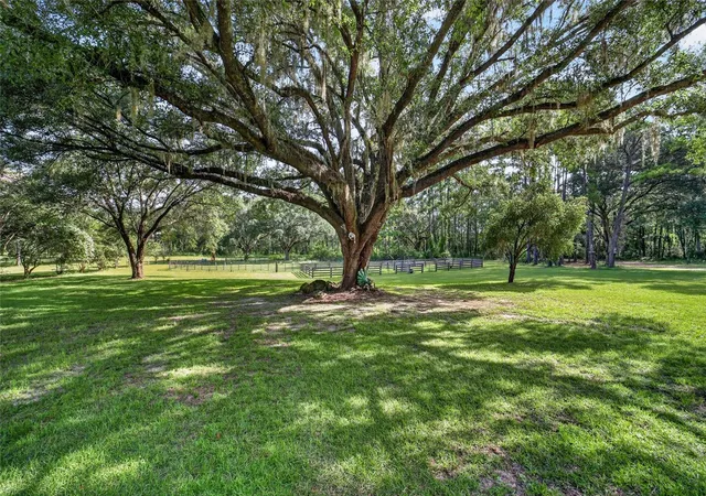 Photo 3 of Single family home for sale at 15020 W Highway 328, Ocala, FL 34482 | MLS# OM728319 | Listing updated on 2026-10-06