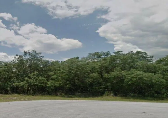 Photo 1 of Land for sale at 204 Kingfish Way, Kissimmee, FL 34759 | MLS# S5153566 | Listing updated on 2026-07-28