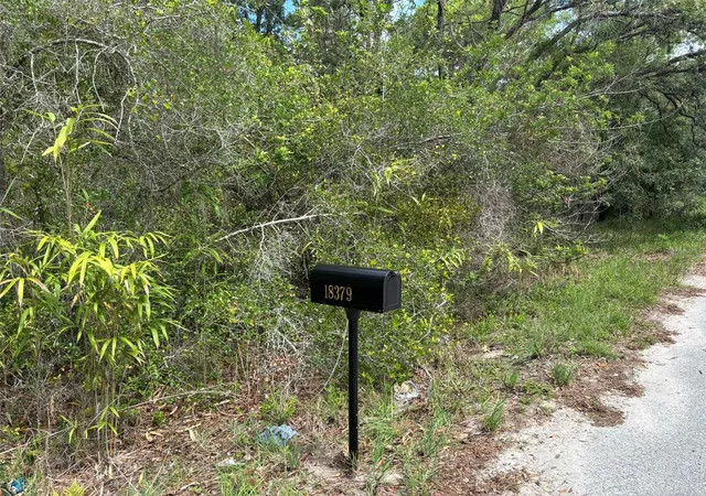 1st image of 18379 Thomas Blvd, Hudson, FL 34667 | MLS# TB8528440