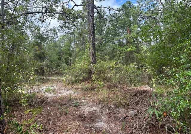 2nd image of 18379 Thomas Blvd, Hudson, FL 34667 | MLS# TB8528440