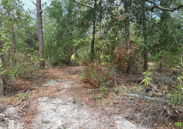 3rd image of 18379 Thomas Blvd, Hudson, FL 34667 | MLS# TB8528440