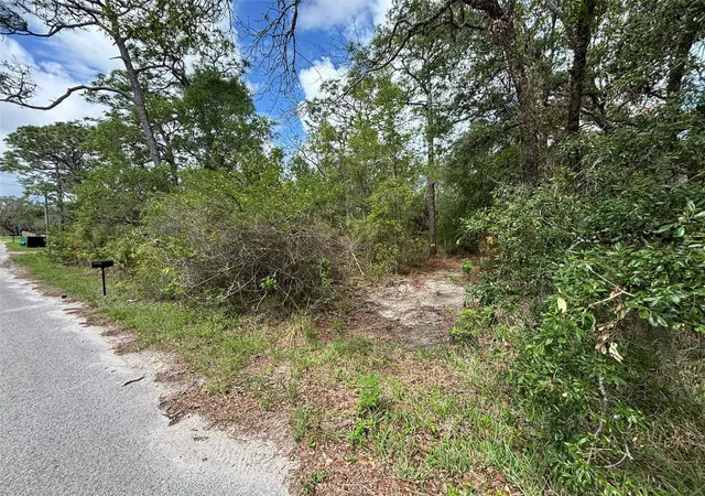 6th image of 18379 Thomas Blvd, Hudson, FL 34667 | MLS# TB8528440