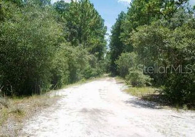 Homes for sale in Georgetown, FL | 148 Arden St, Georgetown, FL 32139 | MLS# FC319908