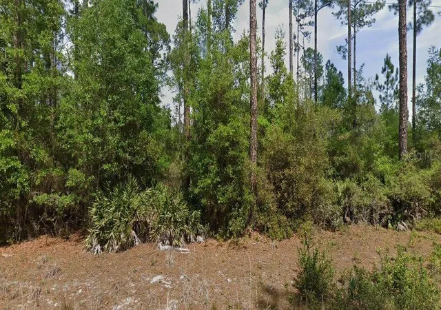 Homes for sale in Georgetown, FL | 148 Arden St, Georgetown, FL 32139 | MLS# FC319908
