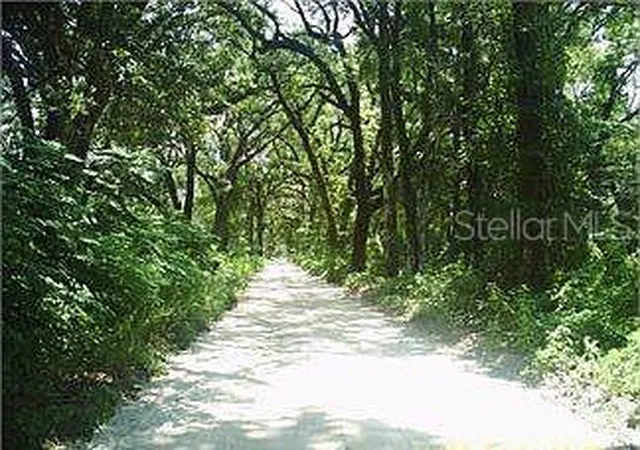 Homes for sale in Georgetown, FL | 148 Arden St, Georgetown, FL 32139 | MLS# FC319908