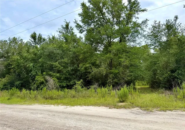 Homes for sale in Bronson, FL | 12790 Ne 78 Ter, Bronson, FL 32621 | MLS# GC541906