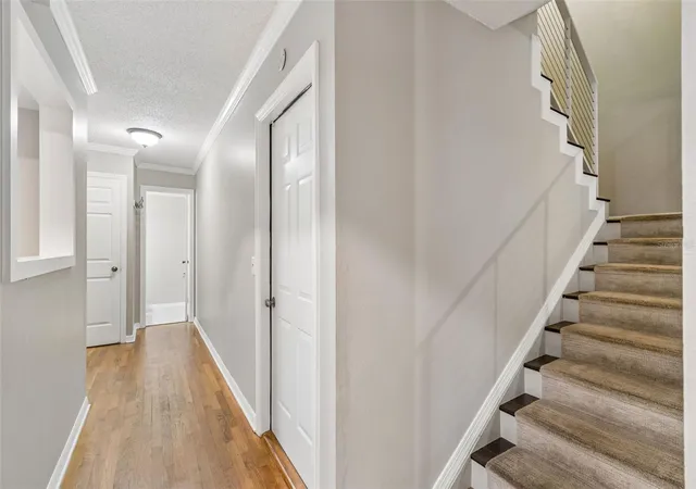 4th image of 5203 Bayshore Blvd #5, Tampa, FL 33611 | MLS# TB8528686
