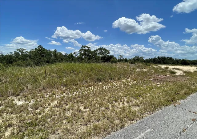 Homes for sale in Poinciana, FL | 1342 Homosassa Ct, Poinciana, FL 34759 | MLS# O6424652