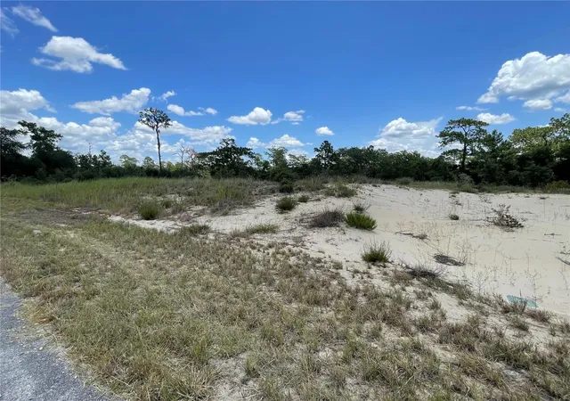 Homes for sale in Poinciana, FL | 1342 Homosassa Ct, Poinciana, FL 34759 | MLS# O6424652