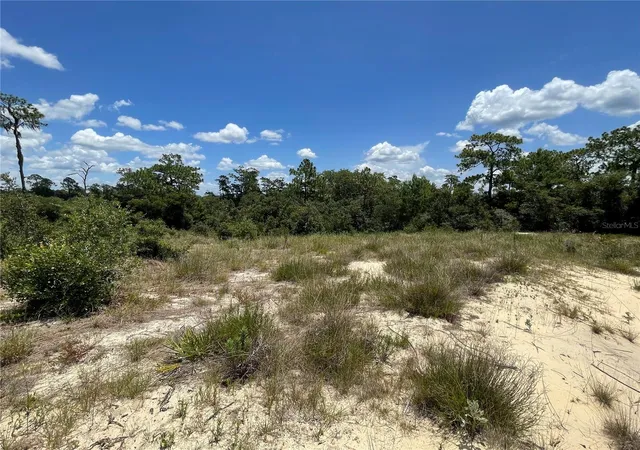 Homes for sale in Poinciana, FL | 1342 Homosassa Ct, Poinciana, FL 34759 | MLS# O6424652